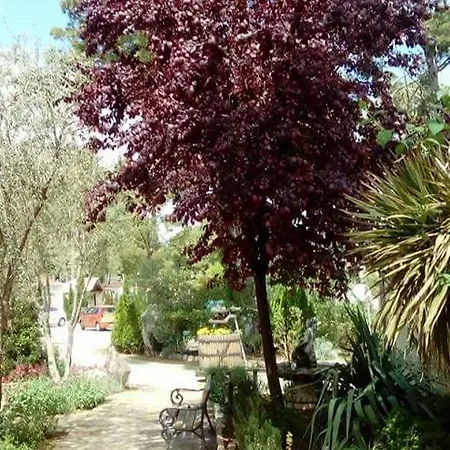 Mila & Miro Apartmán *