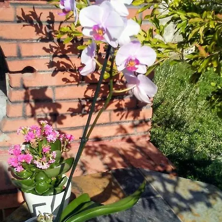 Mila & Miro Apartmán